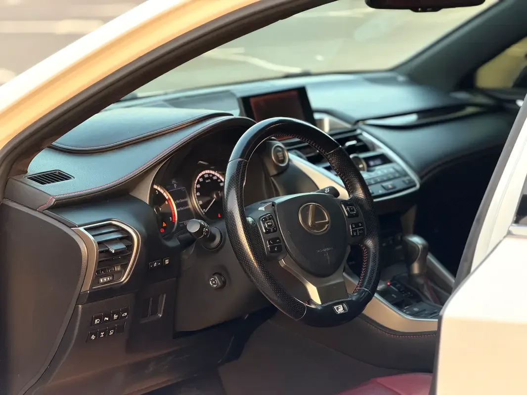 Lexus NX 200t AT AWD (238 حصان) - 14