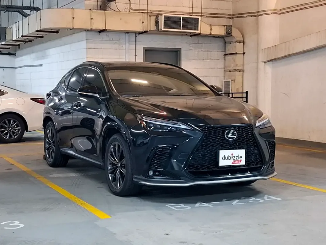 Lexus NX 2.5 AT (203 hp)
