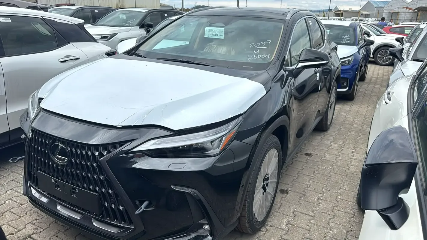 Lexus NX 2.5 AT (244 hp)