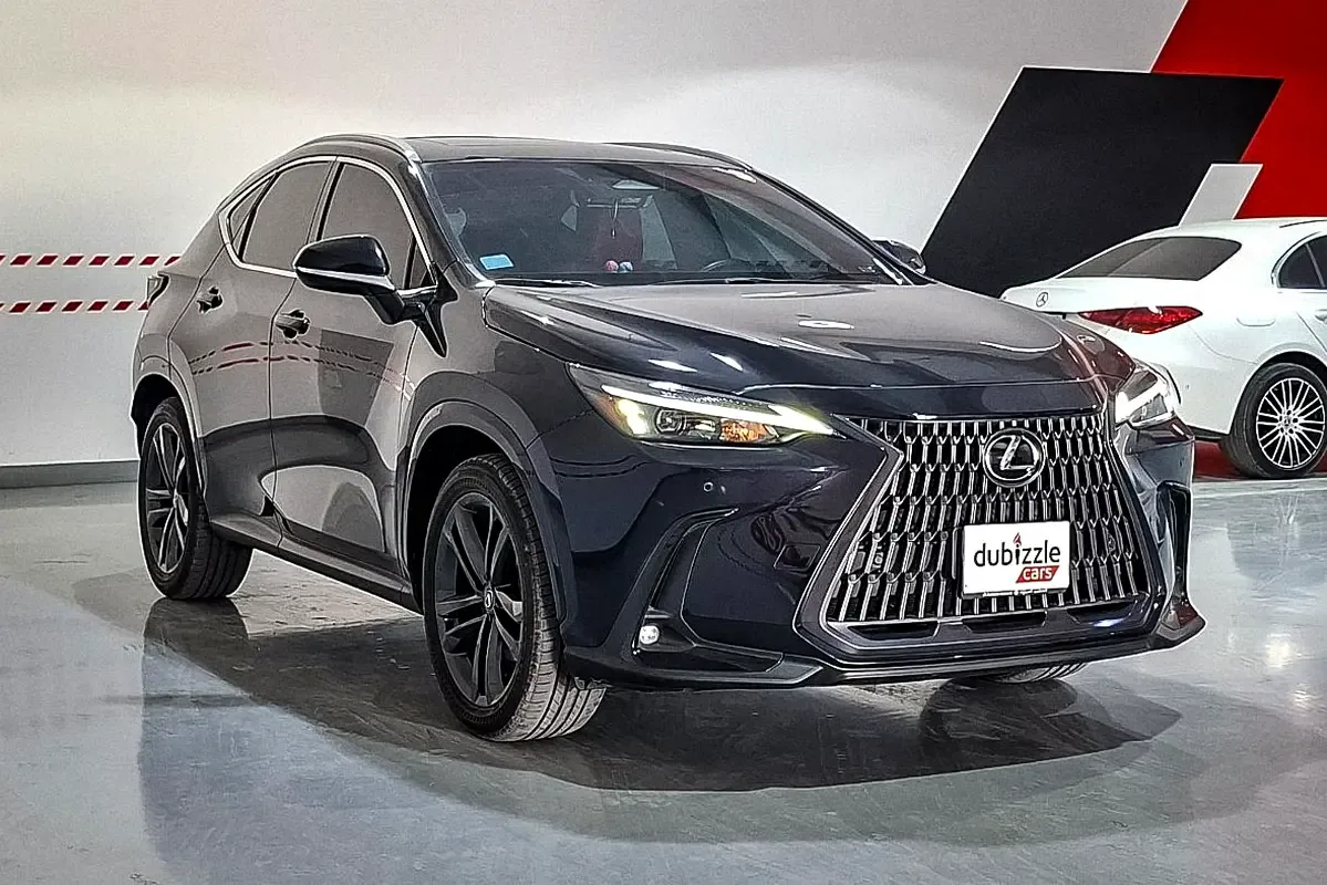 Lexus NX 2.5 AT (244 hp)