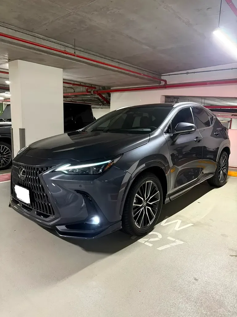 Lexus NX 2.5 AT 4WD (199 hp)