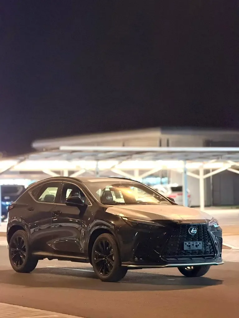 Lexus NX 2.5 AT AWD (244 hp)