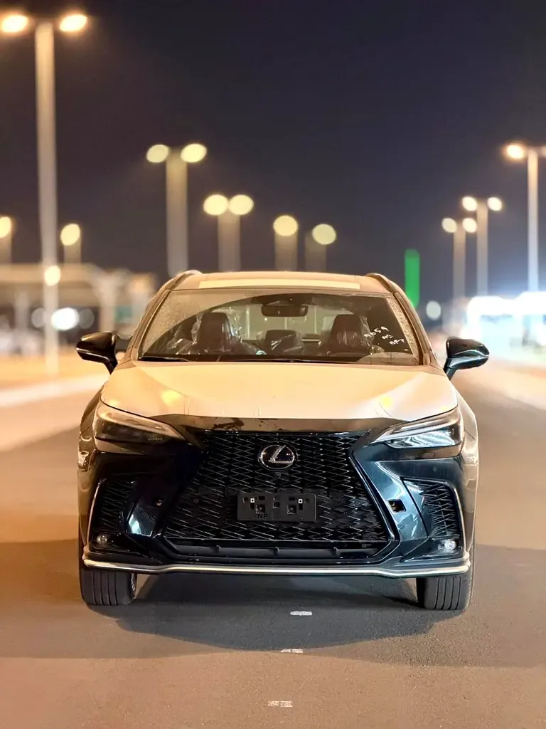 Lexus NX 2.5 AT AWD (244 حصان) - 3