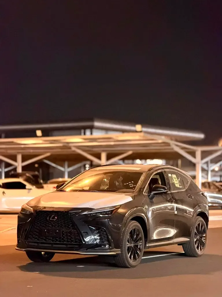 Lexus NX 2.5 AT AWD (244 حصان) - 5