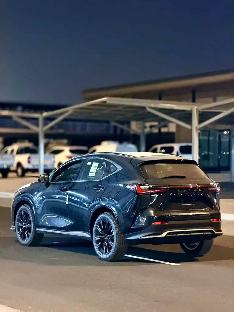 Lexus NX 2.5 AT AWD (244 حصان) - 9