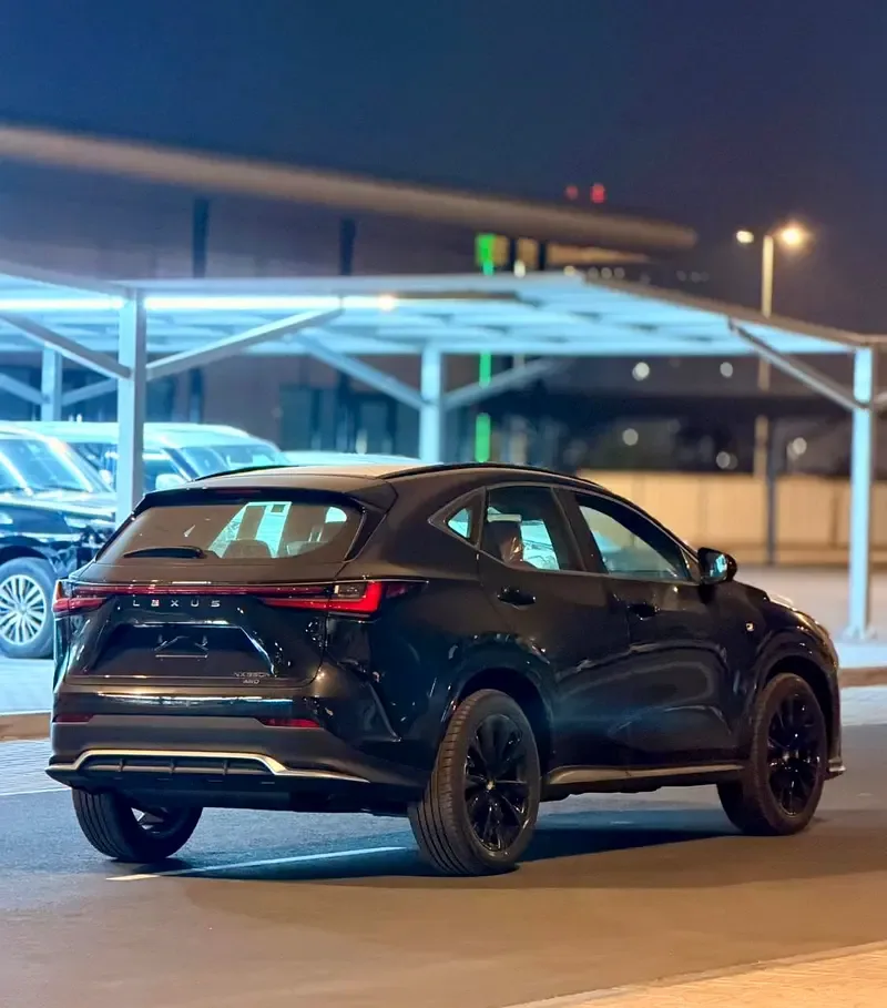 Lexus NX 2.5 AT AWD (244 حصان) - 6