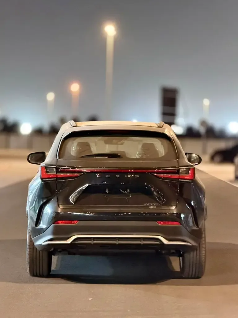 Lexus NX 2.5 AT AWD (244 حصان) - 10