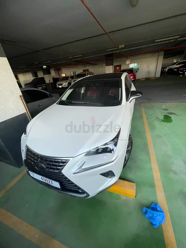Lexus NX 300 AT AWD (238 hp)