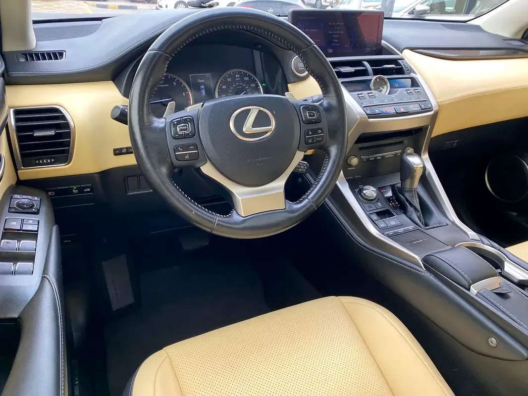 Lexus NX 300 AT AWD (238 hp) - 10