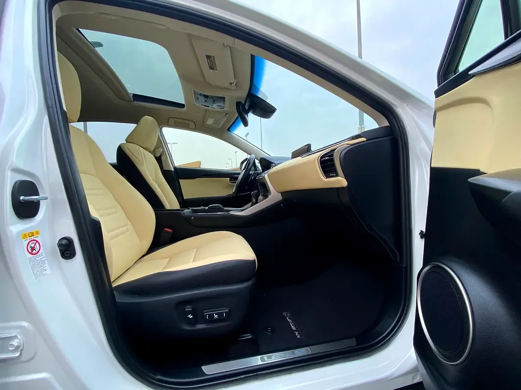 Lexus NX 300 AT AWD (238 hp) - 14