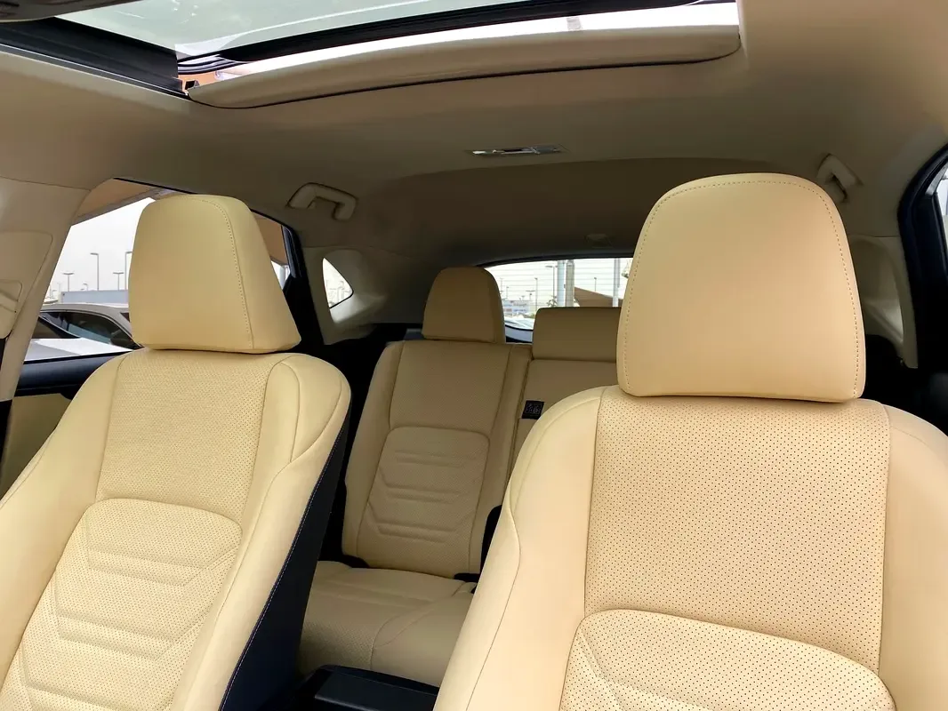 Lexus NX 300 AT AWD (238 hp) - 15