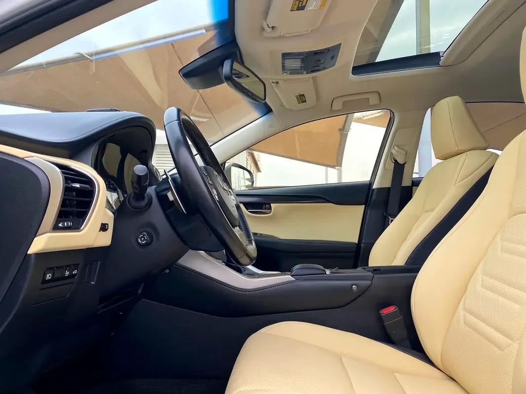 Lexus NX 300 AT AWD (238 hp) - 12