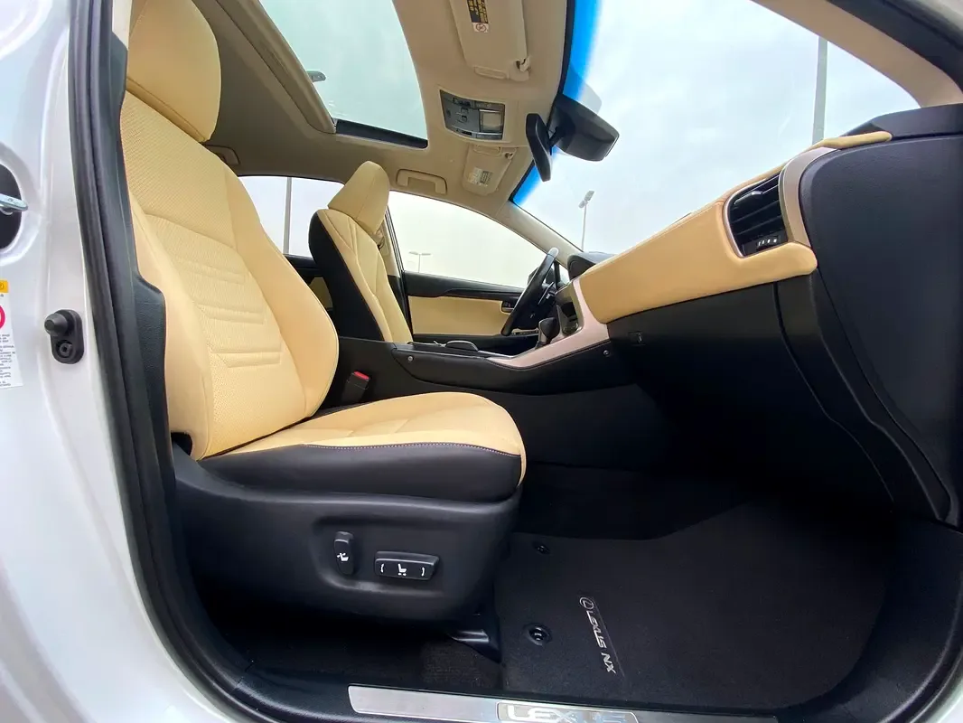 Lexus NX 300 AT AWD (238 hp) - 17