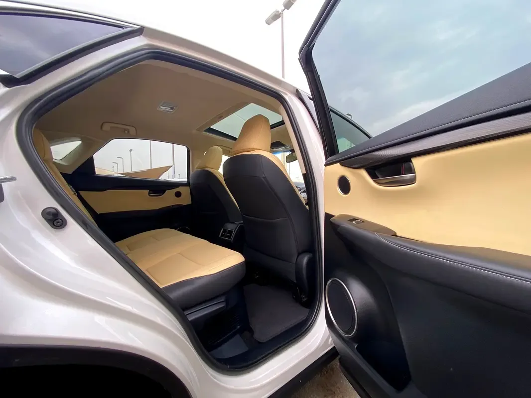 Lexus NX 300 AT AWD (238 hp) - 16