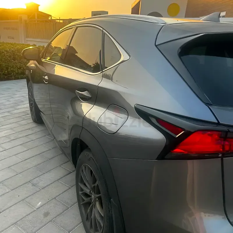 Lexus NX 300 AT AWD (238 حصان) - 3