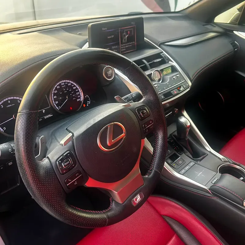 Lexus NX 300 AT AWD (238 حصان) - 6