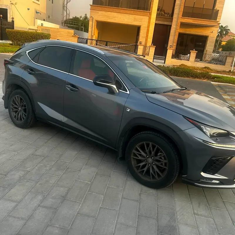 Lexus NX 300 AT AWD (238 حصان) - 4