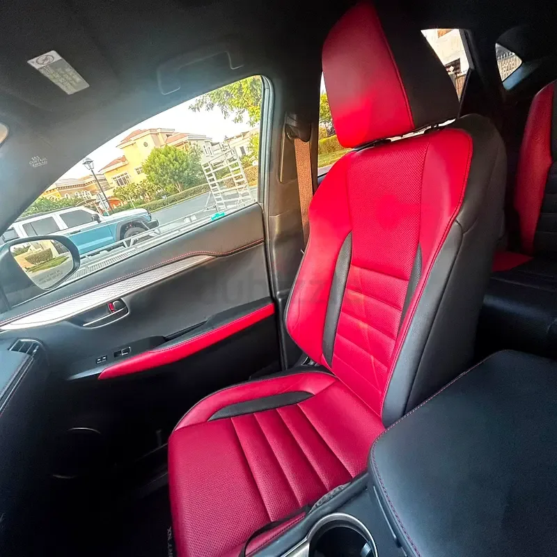 Lexus NX 300 AT AWD (238 حصان) - 10