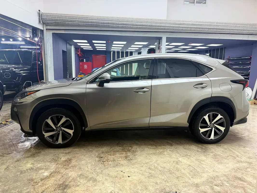 Lexus NX 300 AT AWD (238 حصان) - 6