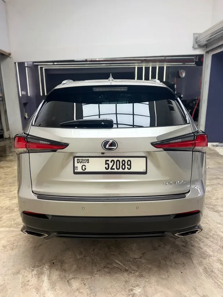 Lexus NX 300 AT AWD (238 حصان) - 8