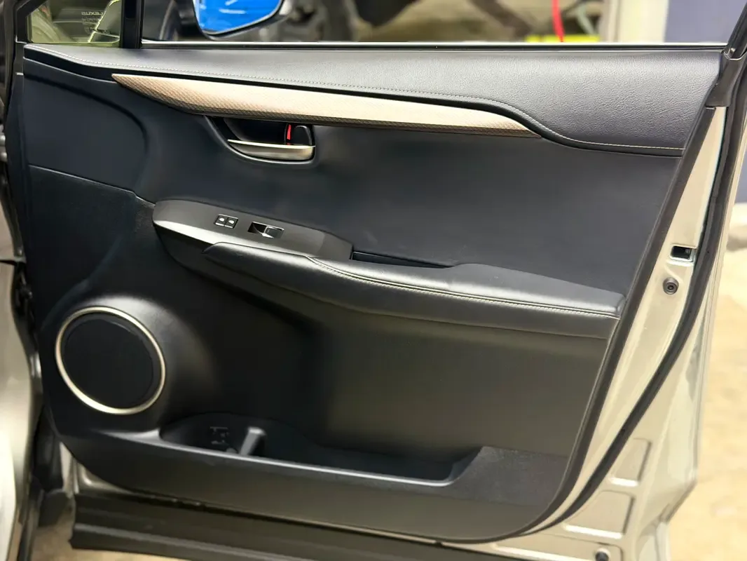 Lexus NX 300 AT AWD (238 حصان) - 12