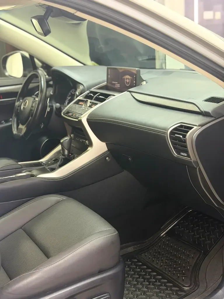 Lexus NX 300 AT AWD (238 حصان) - 16