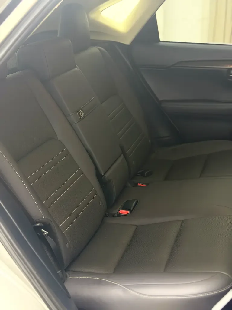Lexus NX 300 AT AWD (238 حصان) - 15
