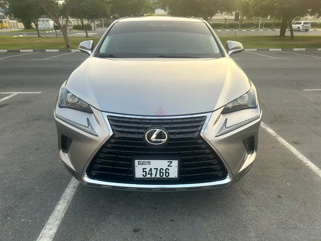 Lexus NX 300 AT AWD (238 حصان) - 2