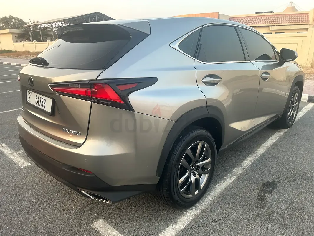 Lexus NX 300 AT AWD (238 حصان) - 4