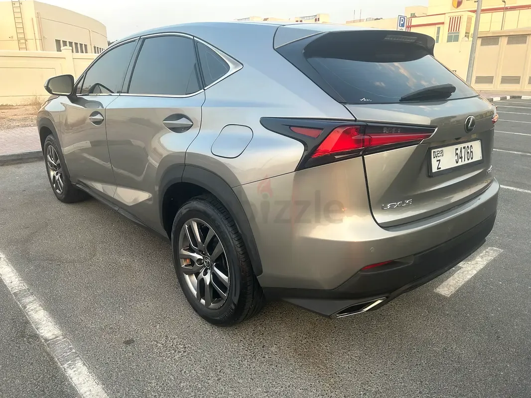 Lexus NX 300 AT AWD (238 حصان) - 6