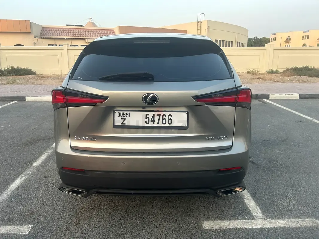 Lexus NX 300 AT AWD (238 حصان) - 5