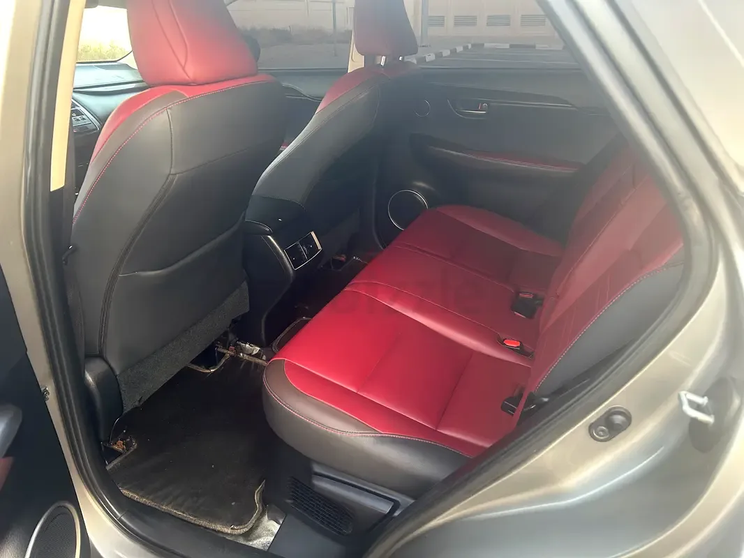 Lexus NX 300 AT AWD (238 حصان) - 8