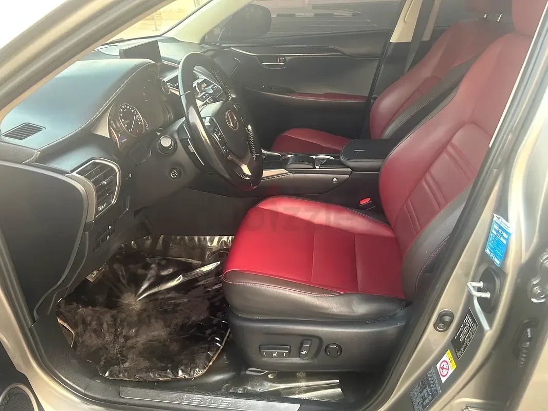 Lexus NX 300 AT AWD (238 حصان) - 7