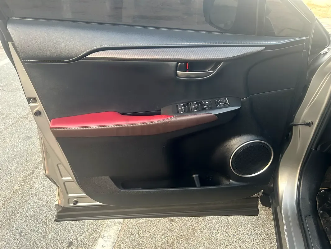 Lexus NX 300 AT AWD (238 حصان) - 10