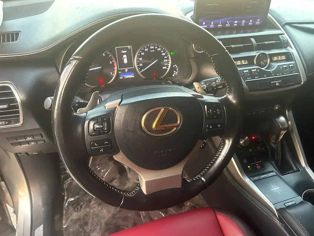 Lexus NX 300 AT AWD (238 حصان) - 16
