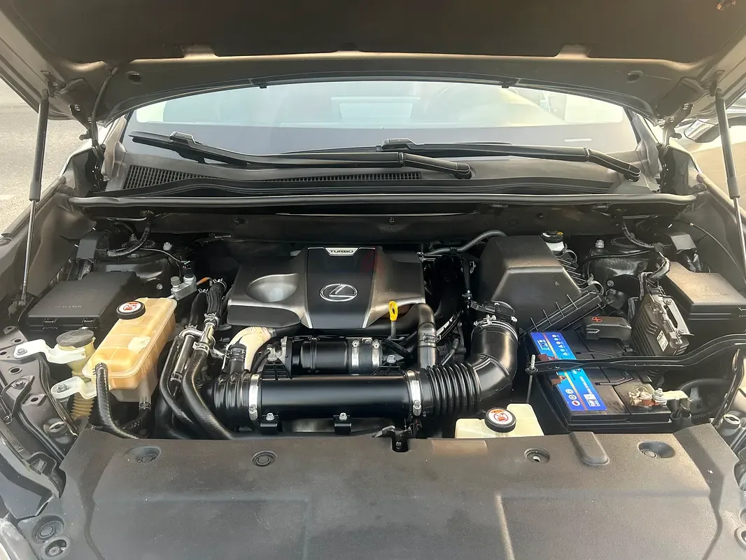 Lexus NX 300 AT AWD (238 حصان) - 17