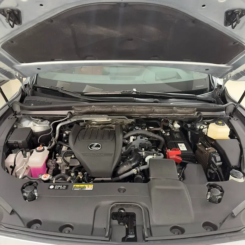 Lexus RX 2.4 AT (279 hp) - 15