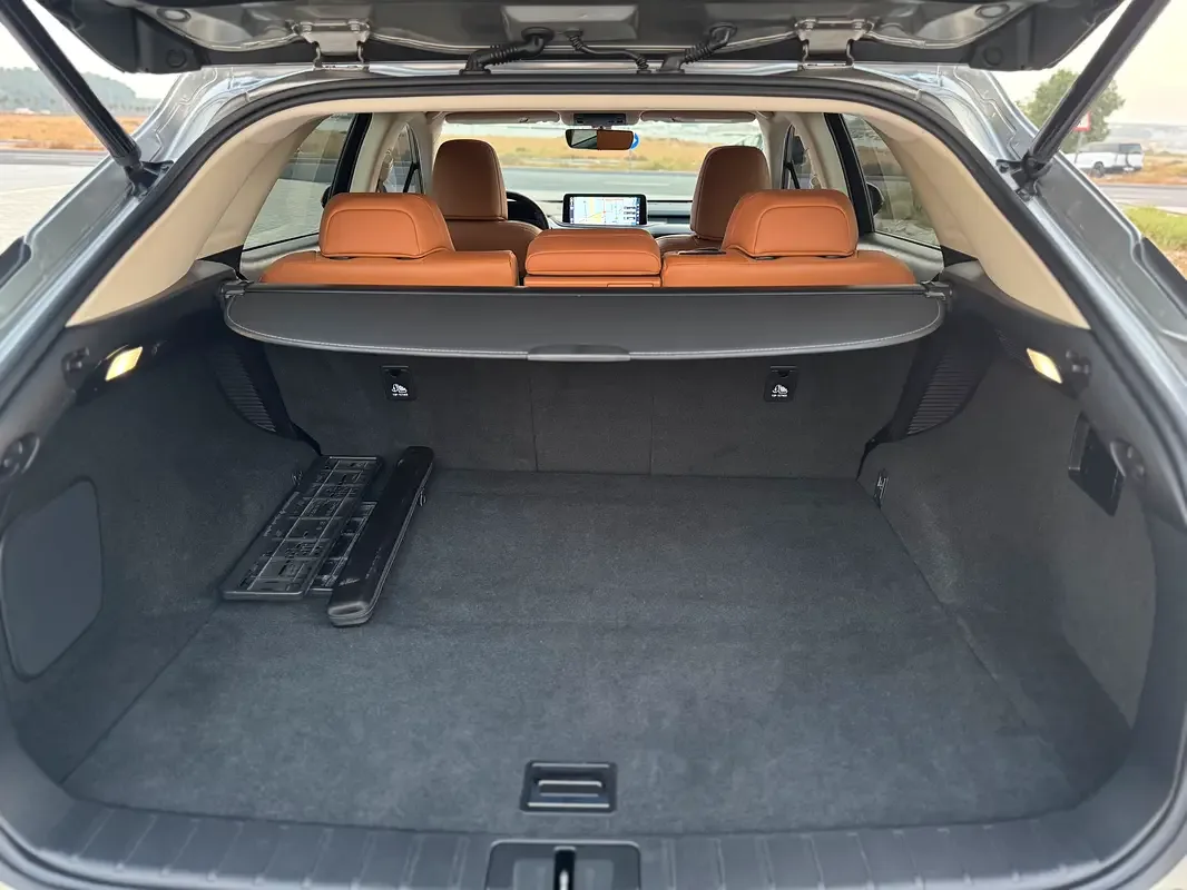 Lexus RX 3.5 CVT AWD (263 hp) - 17