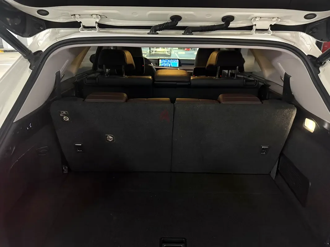 Lexus RX 450hL CVT AWD (313 حصان) - 7