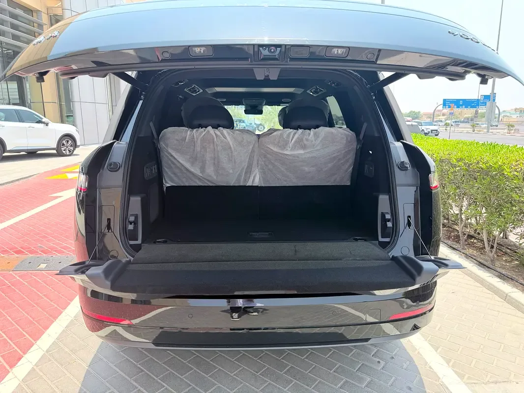 Lynk & Co 900 2.0 AT AWD (734 حصان) - 9