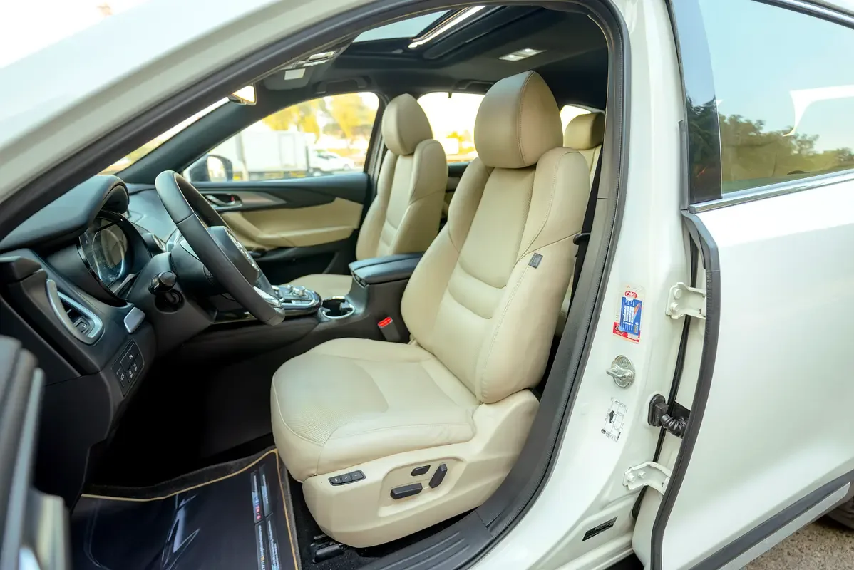 Mazda CX-9 2.5 AT 4WD (254 hp) - 10