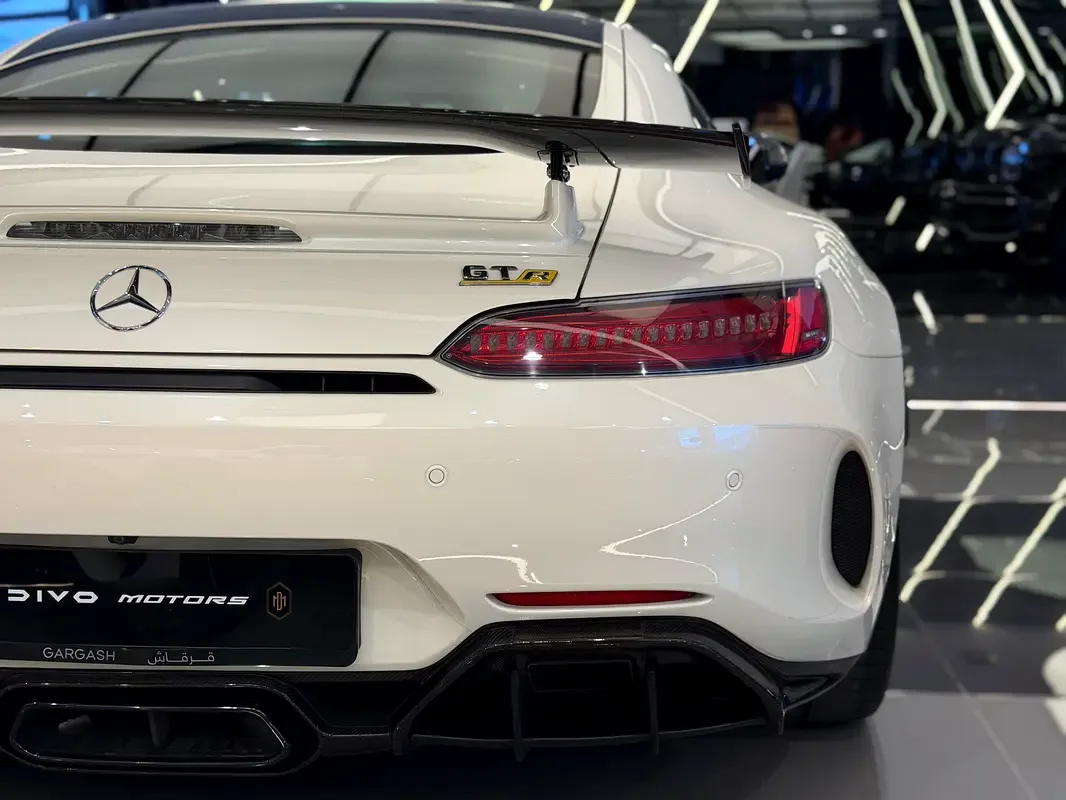 Mercedes-Benz AMG GT 4.0 AMT (530 hp) - 18
