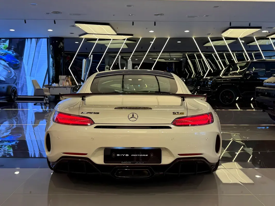 Mercedes-Benz AMG GT 4.0 AMT (530 hp) - 20