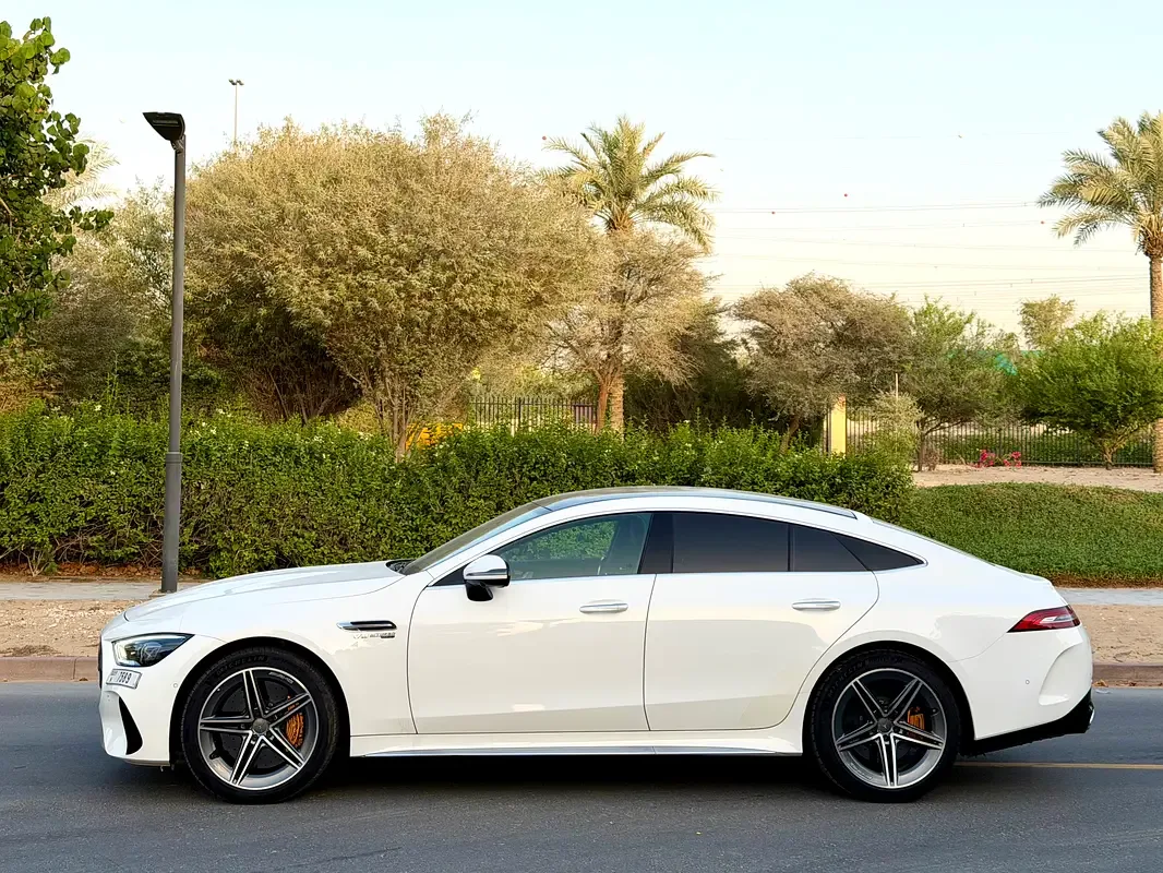 Mercedes-Benz AMG GT 63 4Matic+ Speedshift MCT 9G (585 hp) - 3