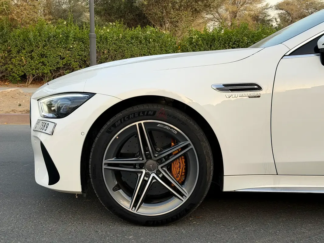 Mercedes-Benz AMG GT 63 4Matic+ Speedshift MCT 9G (585 hp) - 14