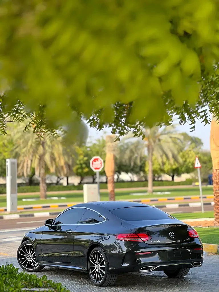 Mercedes-Benz C-Class C 300 9G-TRONIC (258 hp) - 20