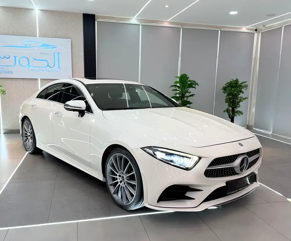 Mercedes-Benz CLS 350 d AT 4Matic (249 hp) - 2
