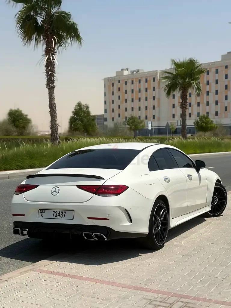 Mercedes-Benz CLS 450 AT 4Matic (367 hp) - 3