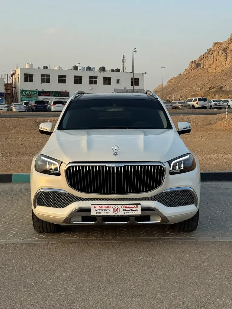 Mercedes-Benz GL-Class 4.7 AT 4WD (435 hp) - 2