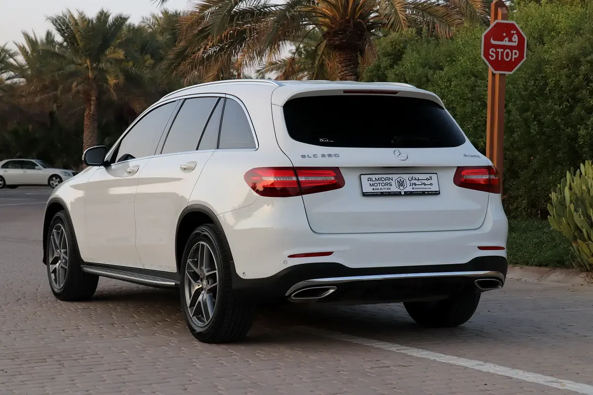 Mercedes-Benz GLC-Class 250 9G-TRONIC 4MATIC (211 hp) - 8